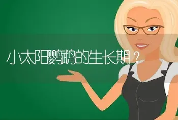 小太阳鹦鹉的生长期？