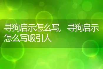 寻狗启示怎么写，寻狗启示怎么写吸引人