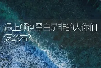 遇上颠倒黑白是非的人你们怎么看？