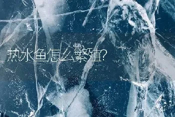 热水鱼怎么繁殖？