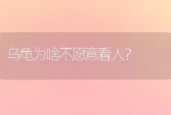 乌龟为啥不愿意看人？