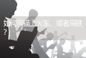 站起来跟人一样高的大大只的狗是什么狗呢？