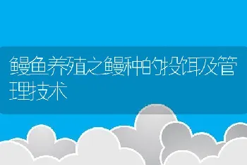 鳗鱼养殖之鳗种的投饵及管理技术