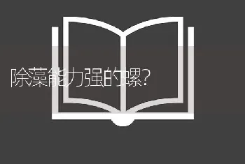 除藻能力强的螺？