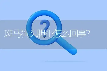 斑马狗头胆小怎么回事？