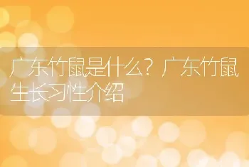 广东竹鼠是什么？广东竹鼠生长习性介绍