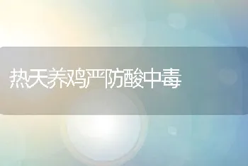 热天养鸡严防酸中毒