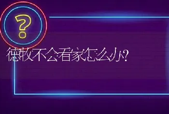 德牧不会看家怎么办？