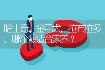 哈士奇，金毛犬，拉布拉多，哪个最适合家养？