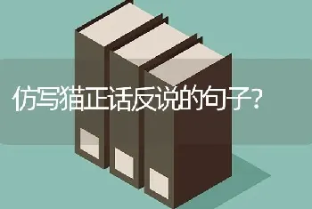 仿写猫正话反说的句子？