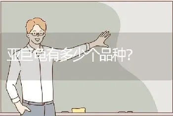 亚巨龟有多少个品种？