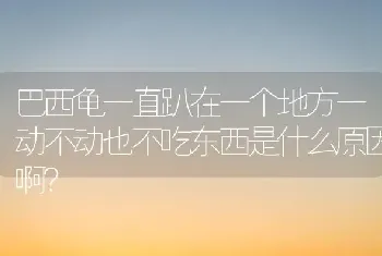 巴西龟一直趴在一个地方一动不动也不吃东西是什么原因啊？