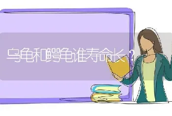 乌龟和鳄龟谁寿命长？