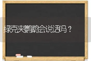 绿克夹鹦鹉会说话吗？