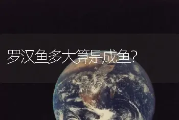 地图鱼掉鳞还能长吗？