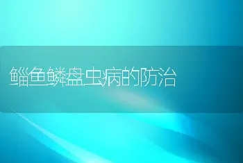 鲻鱼鳞盘虫病的防治