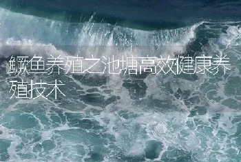 鳜鱼养殖之池塘高效健康养殖技术