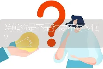 浣熊狗是不是狗要不要冬眠？