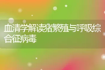 血清学解读猪繁殖与呼吸综合征病毒