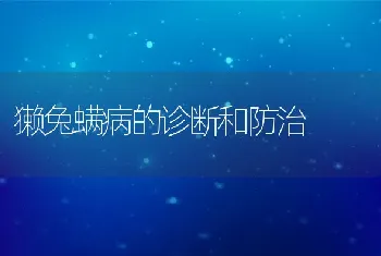 獭兔螨病的诊断和防治