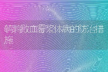 鹌鹑败血霉浆体病的防治措施