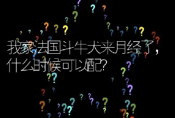 我家法国斗牛犬来月经了，什么时候可以配？