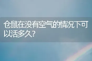 仓鼠在没有空气的情况下可以活多久？