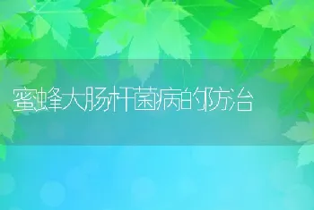 浅谈如何搞好家兔饲养和管理