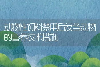 动物性饲料禁用后反刍动物的营养技术措施