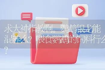 求大神指教啊。鹦鹉银龙能混养么？喂食鹦鹉的饲料行么？