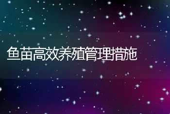 鱼苗高效养殖管理措施