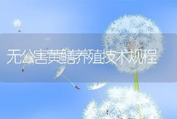 无公害黄鳝养殖技术规程