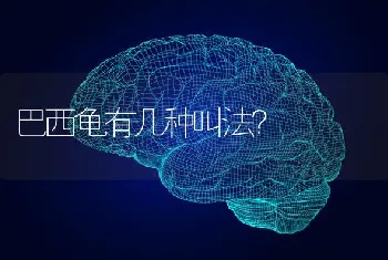 巴西龟有几种叫法？