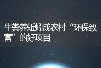 牛粪养蚯蚓成农村“环保致富”的好项目