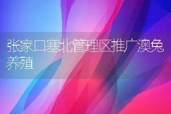 张家口塞北管理区推广澳兔养殖