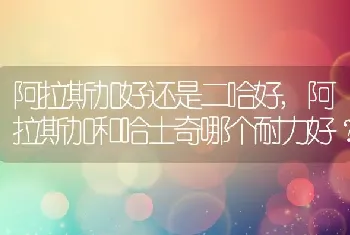 阿拉斯加好还是二哈好，阿拉斯加和哈士奇哪个耐力好？