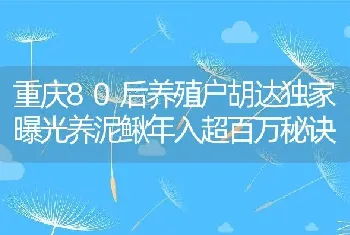 重庆80后养殖户胡达独家曝光养泥鳅年入超百万秘诀