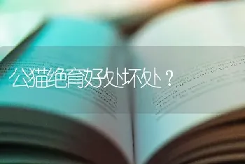 公猫绝育好处坏处？