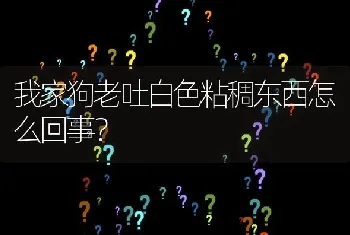 我家狗老吐白色粘稠东西怎么回事？