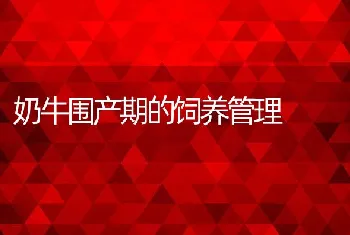 鳜鱼培育中病害综合防治方法