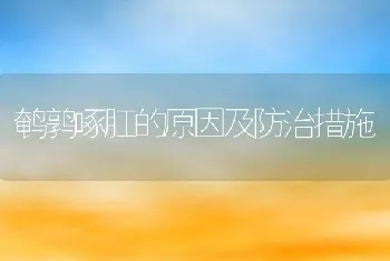 鹌鹑啄肛的原因及防治措施