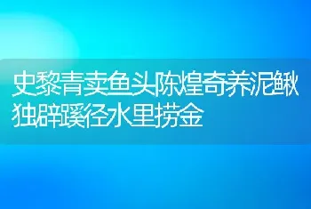 史黎青卖鱼头陈煌奇养泥鳅独辟蹊径水里捞金