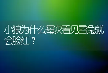 小狼为什么每次看见雪兔就会脸红？