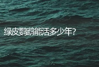 绿皮鹦鹉能活多少年？