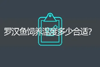 罗汉鱼饲养温度多少合适？