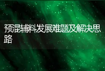 预混辅料发展难题及解决思路