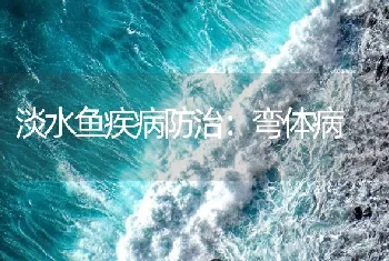 淡水鱼疾病防治：弯体病