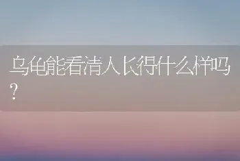 乌龟能看清人长得什么样吗？