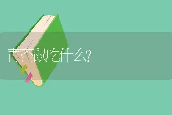 青苔鼠吃什么？