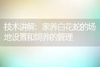 技术讲解:家养白花蛇的场地设置和饲养的管理